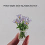 7 Translucent PurpleWith Vase