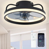 Black ring ceiling fan light