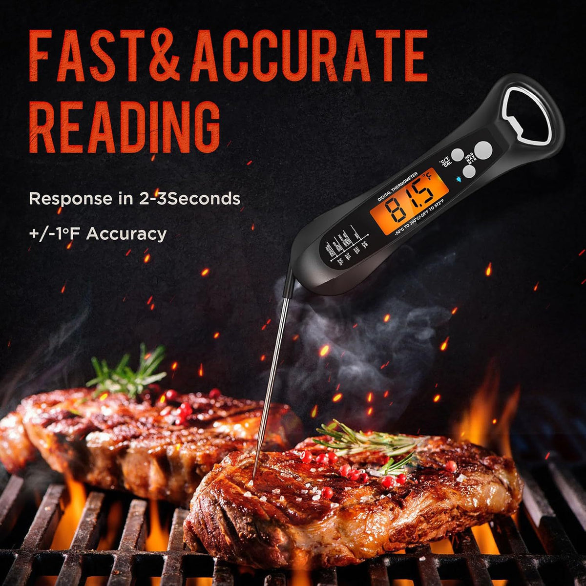 High Precision Digital Food Thermometer