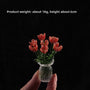 7 Red RubiesWith Vase