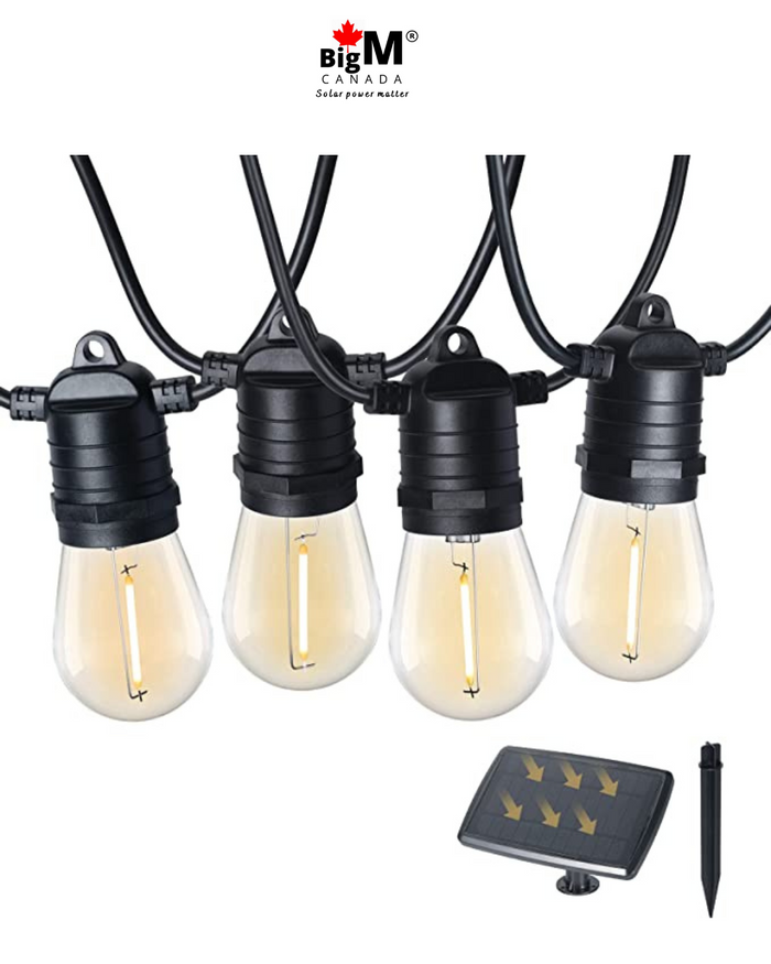 S14 Edison bulbs on the solar string light cable