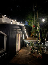 Solar patio string lights lit over a garden at night