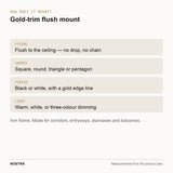 Mounting diagram: flush to the ceiling, four shapes available